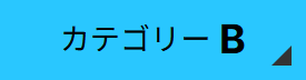 カテゴリーB